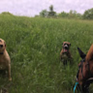 Meet your Posher, Deb